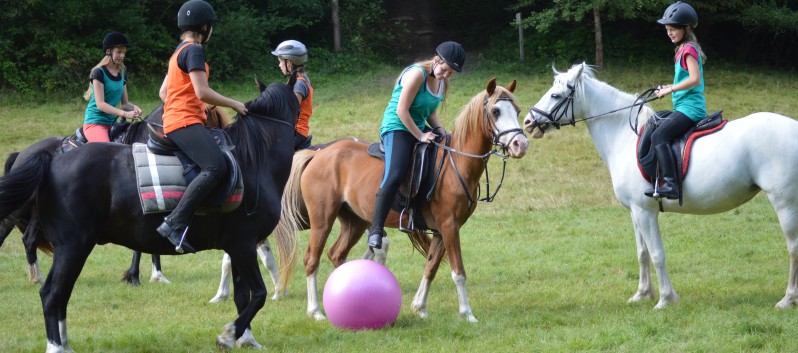 Pferdefussball mit den Ponys der CV Ponyfarm 07