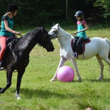 Pferdefussball mit den Ponys der CV Ponyfarm 08