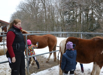 Pruefungstag der CV Ponyfarm - 2018-Fruehling - 04