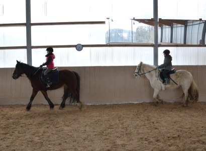 Pruefungstag der CV Ponyfarm - 2018-Fruehling - 12