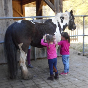 Reiten Kinder im Vorschulalter- Mutter und Kind 06