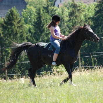 Relaxen und Entspannen auf den Ponys der CV Ponyfarm in Murrhardt - Hinterbüchelberg 03