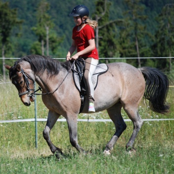 Relaxen und Entspannen auf den Ponys der CV Ponyfarm in Murrhardt - Hinterbüchelberg 13