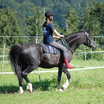 Relaxen und Entspannen auf den Ponys der CV Ponyfarm in Murrhardt - Hinterbüchelberg 14