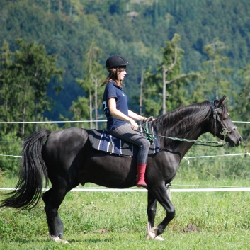 Relaxen und Entspannen auf den Ponys der CV Ponyfarm in Murrhardt - Hinterbüchelberg 15