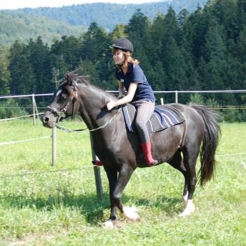 Relaxen und Entspannen auf den Ponys der CV Ponyfarm in Murrhardt - Hinterbüchelberg 18
