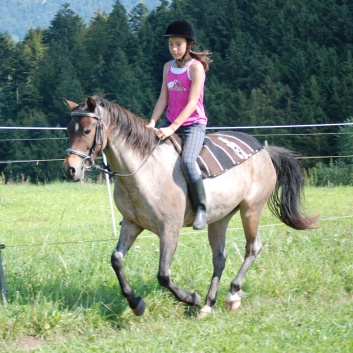 Relaxen und Entspannen auf den Ponys der CV Ponyfarm in Murrhardt - Hinterbüchelberg 19