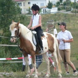 Startbild Turnier Steinbach 2006 - CV Ponyfarm