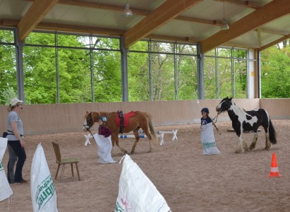 Tag der offenen Tuer CV Ponyfarm 11