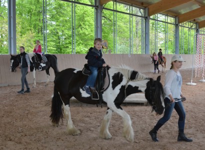 Tag der offenen Tuer CV Ponyfarm 19