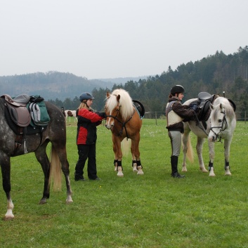 Tagesritt der CV-Ponyfarm April 2012 - 02