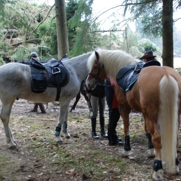 Tagesritt der CV-Ponyfarm April 2012 - 04