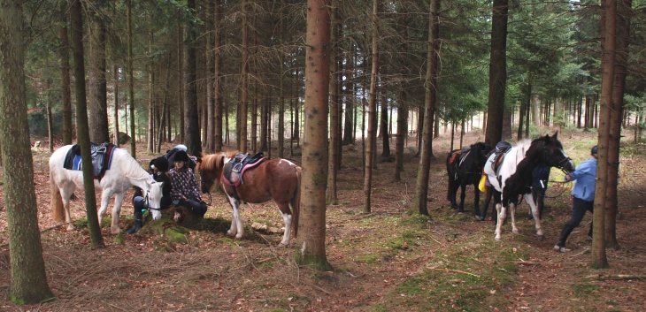 Tagesritt der CV-Ponyfarm April 2012 - 05