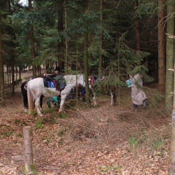 Tagesritt der CV-Ponyfarm April 2012 - 08