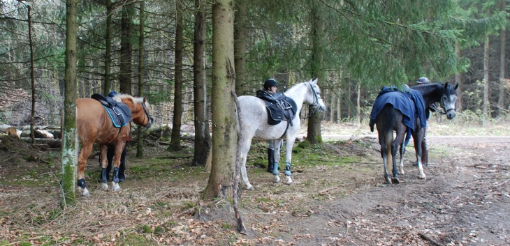 Tagesritt der CV-Ponyfarm April 2012 - 09