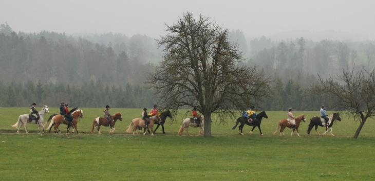 Tagesritt der CV-Ponyfarm April 2012 - 14