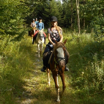 Tagesritt der CV-Ponyfarm nach Spiegelberg 2015 - 06