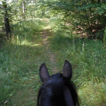 Tagesritt der CV-Ponyfarm nach Spiegelberg 2015 - 07