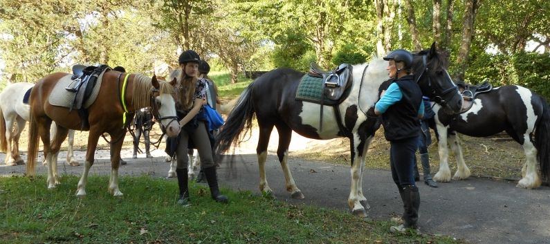 Tagesritt der CV-Ponyfarm nach Spiegelberg 2015 - 11