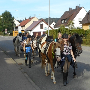 Tagesritt der CV-Ponyfarm nach Spiegelberg 2015 - 13