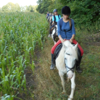 Tagesritt der CV-Ponyfarm nach Spiegelberg 2015 - 21