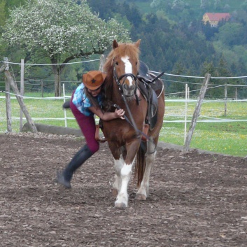 Theaterstck mit Ponys von der CV Ponyfarm in Murrhardt 2010 - 03