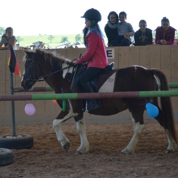 Trail und Handpferde auf der CV-Ponyfarm 03