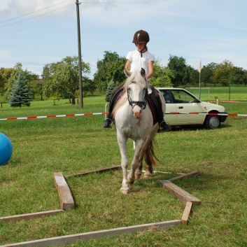 Trail und Handpferde auf der CV-Ponyfarm 04