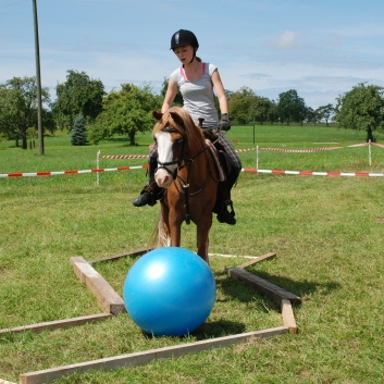 Trail und Handpferde auf der CV-Ponyfarm 05