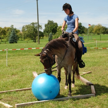 Trail und Handpferde auf der CV-Ponyfarm 06