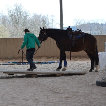 Trailtag der CV Ponyfarm 2013 - 02