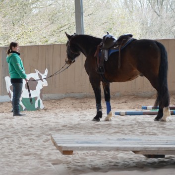 Trailtag der CV Ponyfarm 2013 - 03