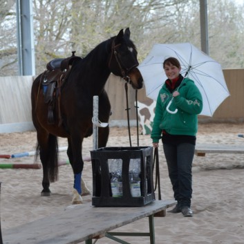 Trailtag der CV Ponyfarm 2013 - 05