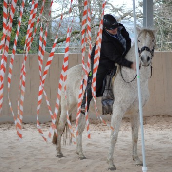 Trailtag der CV Ponyfarm 2013 - 06