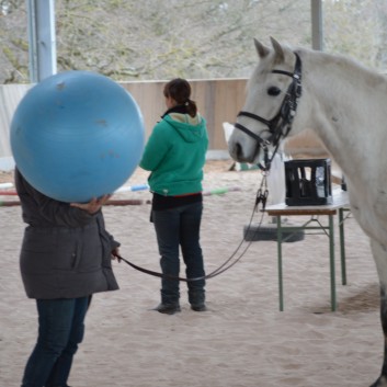 Trailtag der CV Ponyfarm 2013 - 07