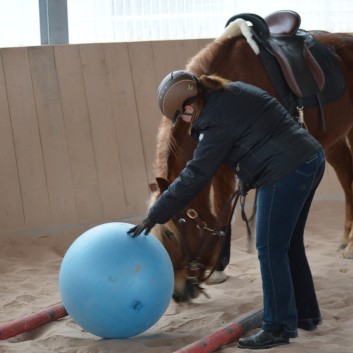 Trailtag der CV Ponyfarm 2013 - 19