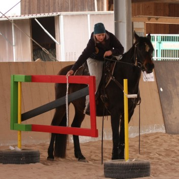 Trailtag der CV Ponyfarm 2013 - 22