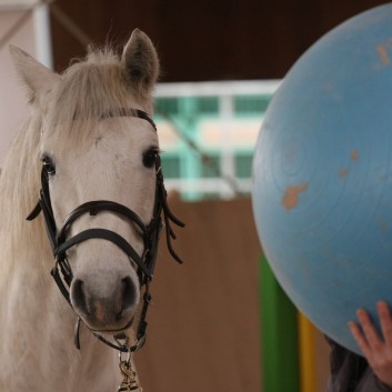 Trailtag der CV Ponyfarm 2013 - 27