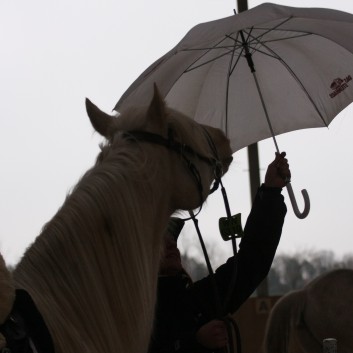 Trailtag der CV Ponyfarm 2013 - 29