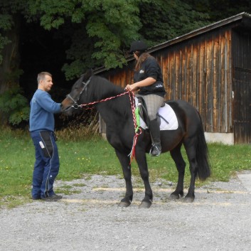 Turnierteilnahme der CV-Ponyfarm 2013-02