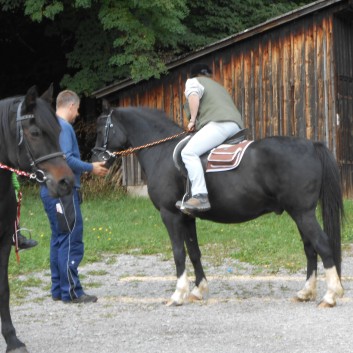 Turnierteilnahme der CV-Ponyfarm 2013-03