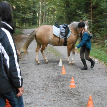 Turnierteilnahme der CV-Ponyfarm 2013-10