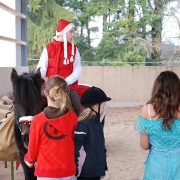 Weihnachtsfeier 2012 auf der CV-Ponyfarm 26