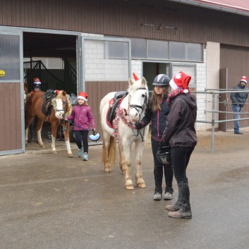 Weihnachtsfeier 2016 mit Ponys und Pferden 11