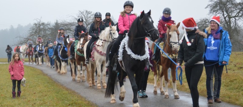 Weihnachtsfeier 2016 mit Ponys und Pferden 17