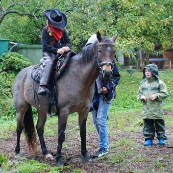 Die_Ponys_der_CV-Ponyfarm_in_Kleinhoechberg_im_September_2011_-_02