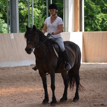 Dressur Reiten auf der CV-Ponyfarm 01