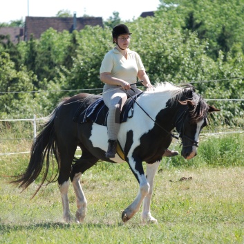 Entspanntes Reiten auf der CV Ponyfarm 01