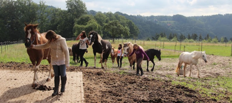 Ferientag auf der CV-Ponyfarm im Juli 2013 - 01