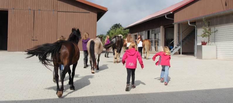 Ferientag auf der CV-Ponyfarm im Juli 2013 - 02
